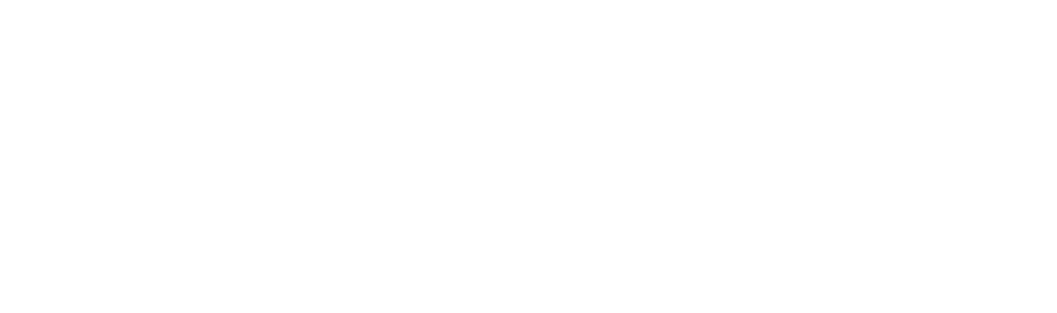 Rhenium Investment GmbH
